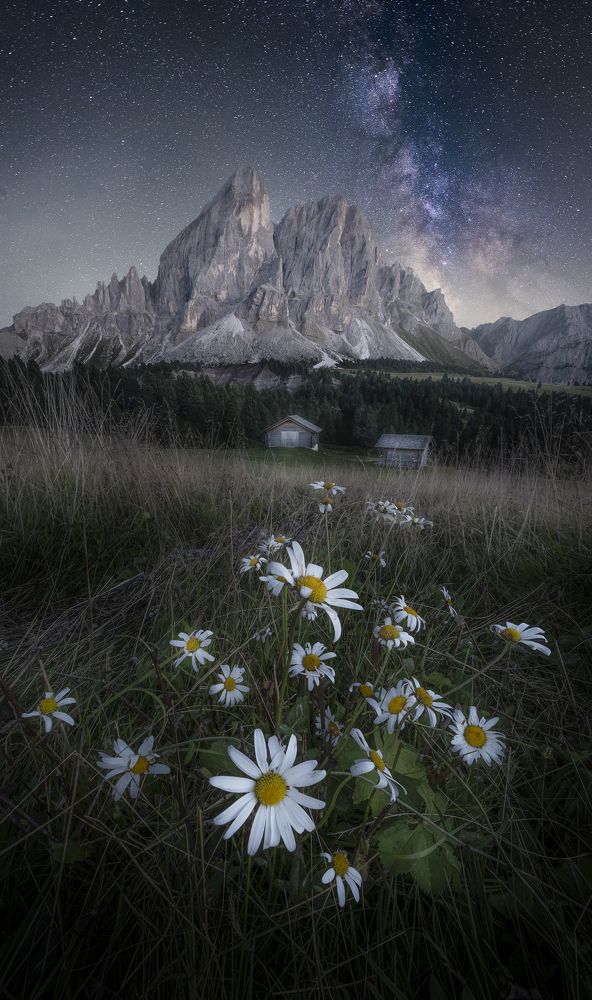 Фотография автора Daniel Trippolt