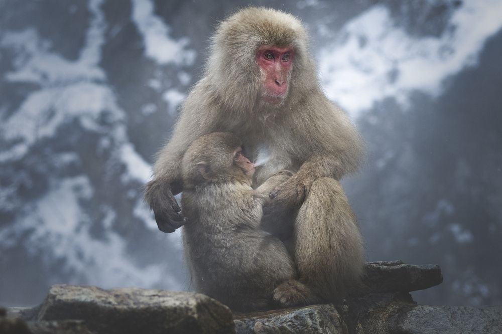 Photograph by Manaska Mukhopadhyay