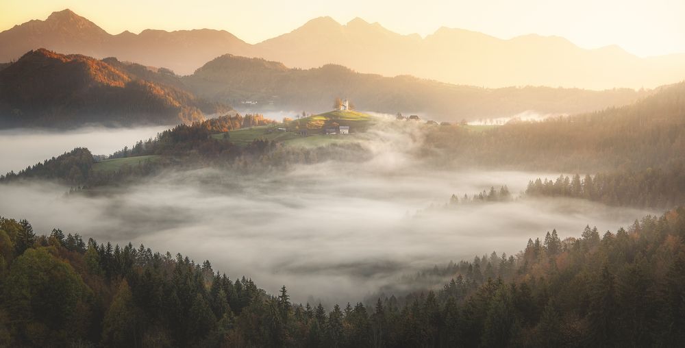 Фотография автора Daniel Trippolt