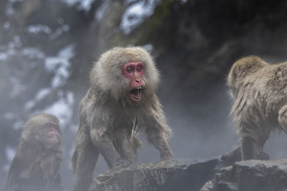 Photograph by Manaska Mukhopadhyay