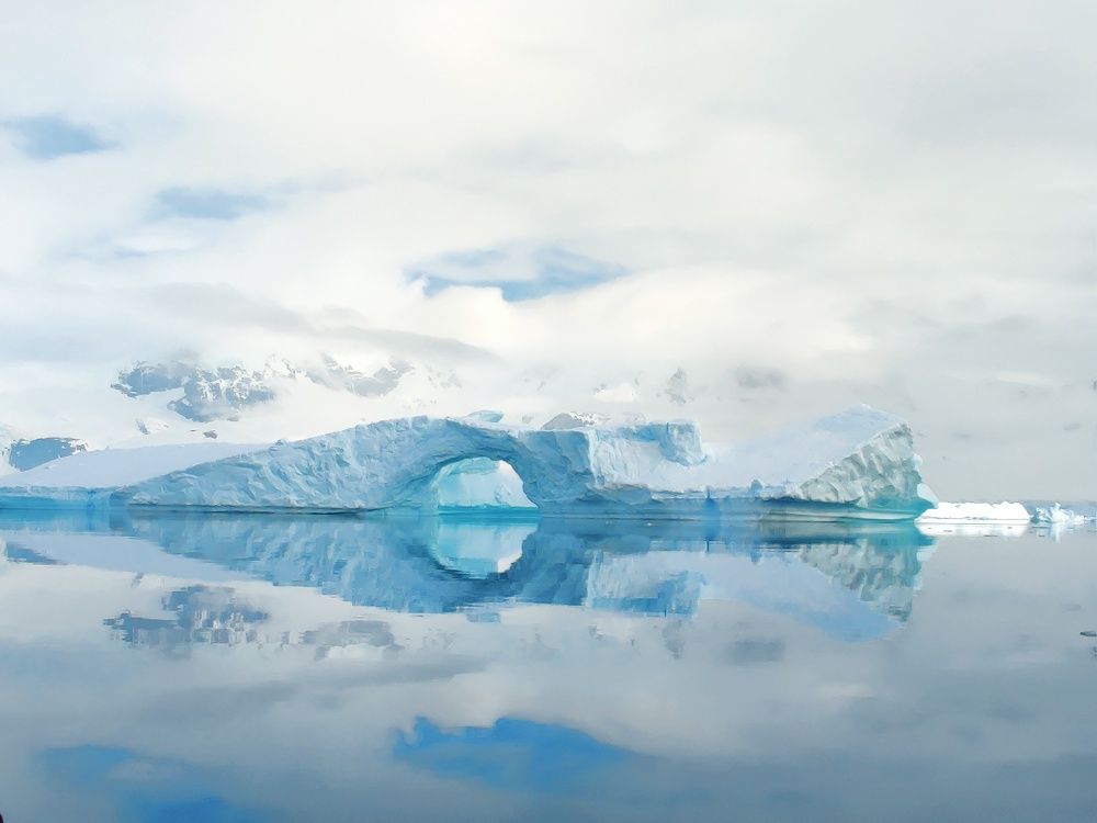 Photograph by ANASTASIA SHCHEPILOVA