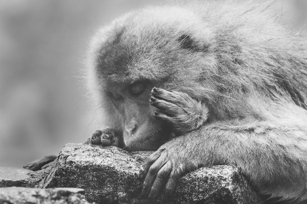 Photograph by Manaska Mukhopadhyay