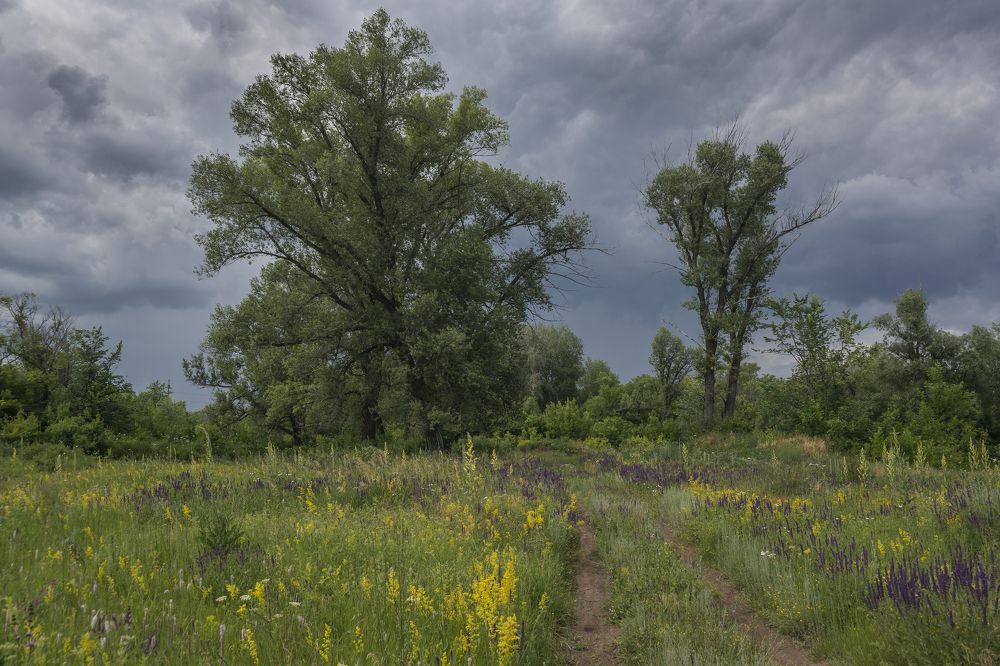 Photograph by mikhail aleksandrov