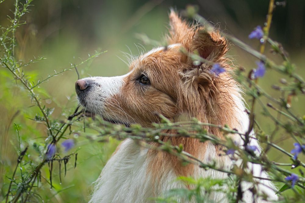 Photograph by Noelle Deskins