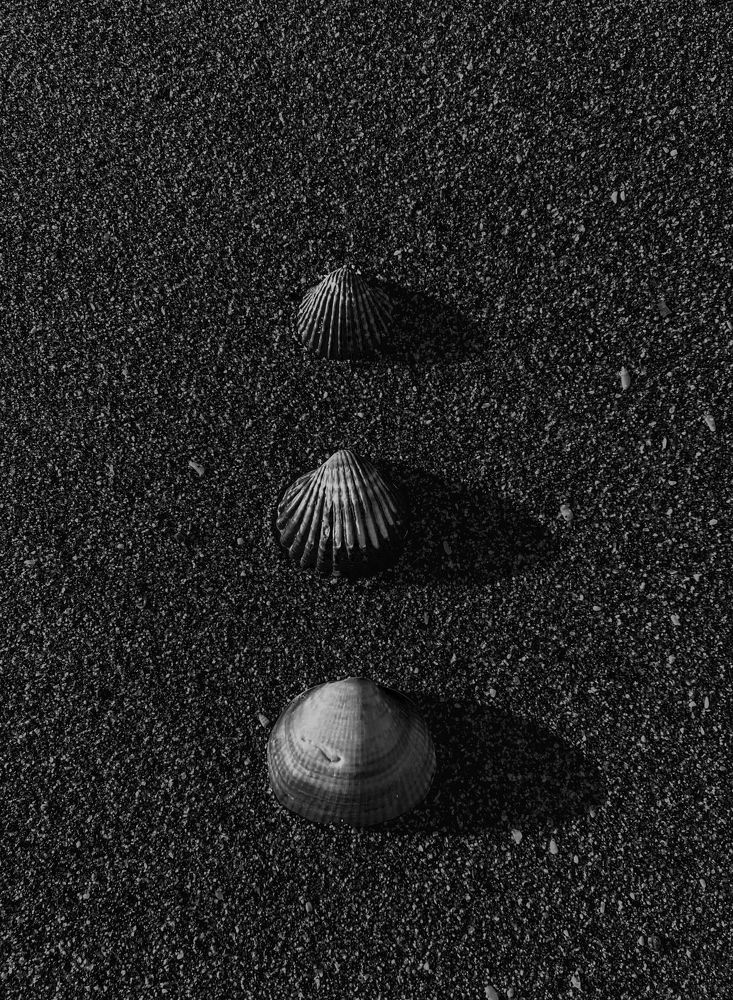 Photograph by Светлана Иревлина