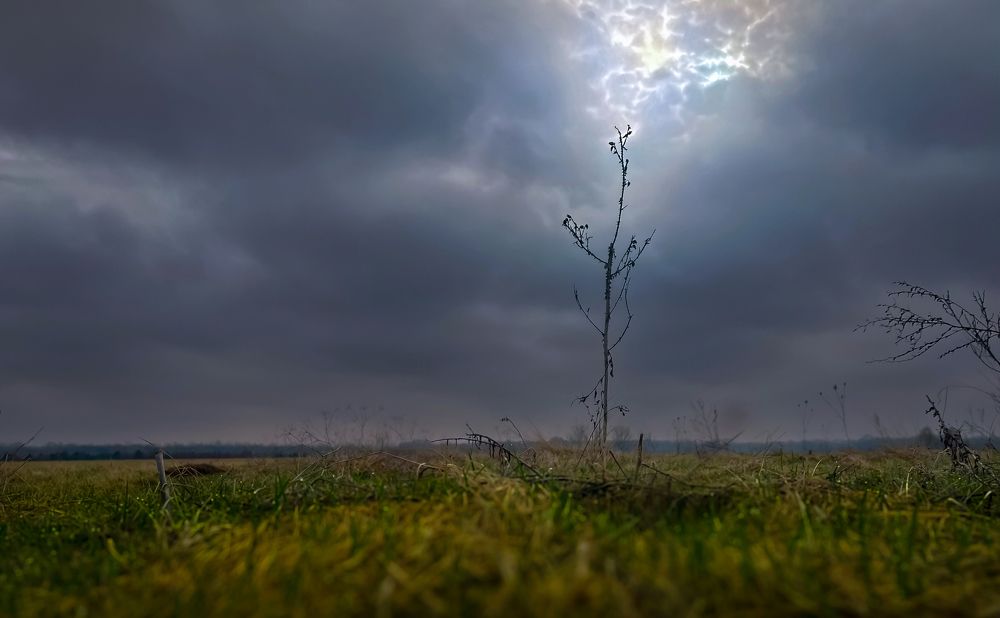 Фотография автора Nomin Jerabek