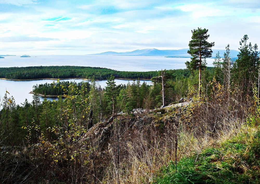 Пейзаж - день