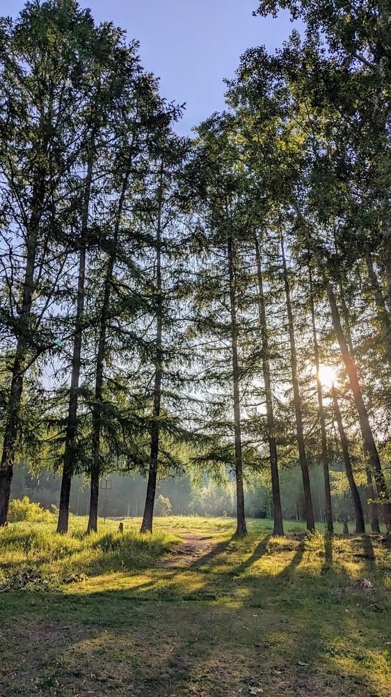 Photograph by Наталья Рассохина