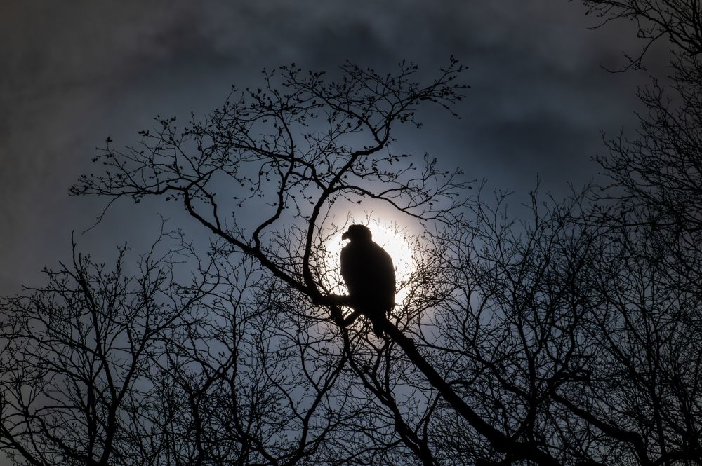 Photograph by Козлов Иван