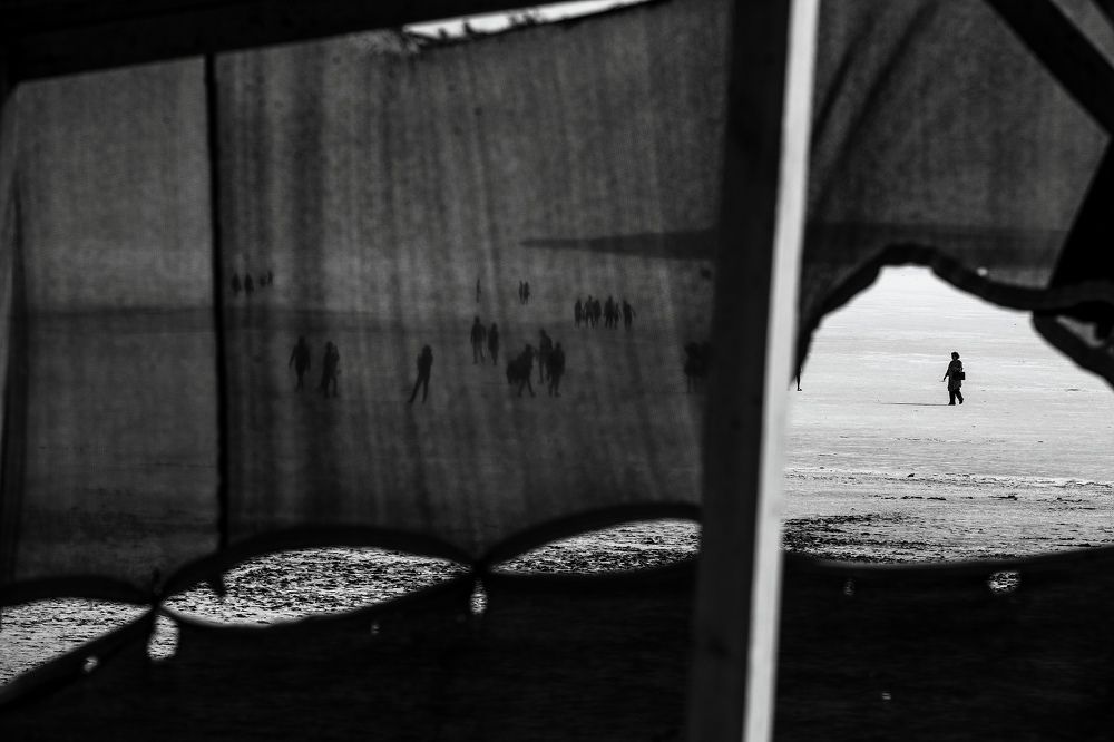 Photograph by Richard Peterson