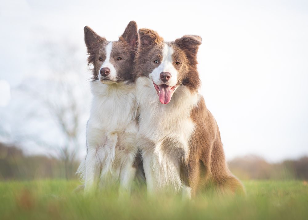 Photograph by Noelle Deskins