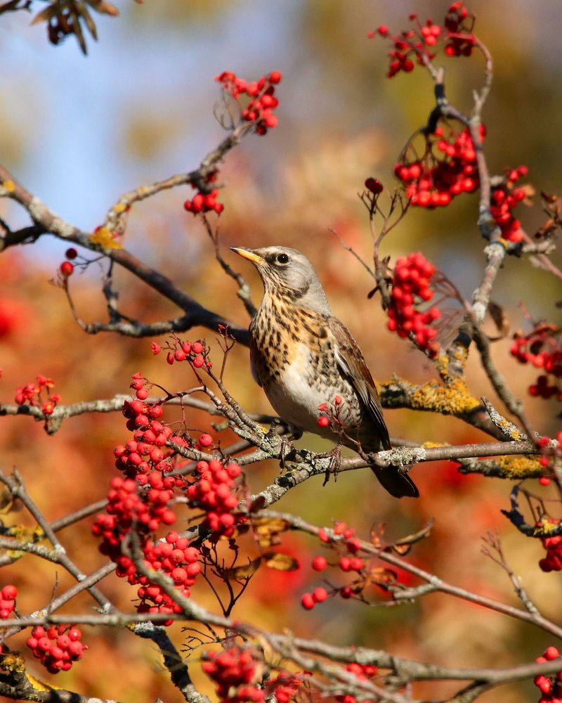Photograph by Evgeny Nasyrov