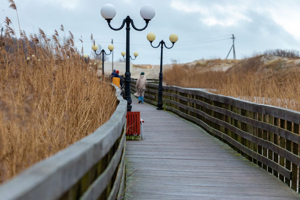 Photograph by Константин Чижов