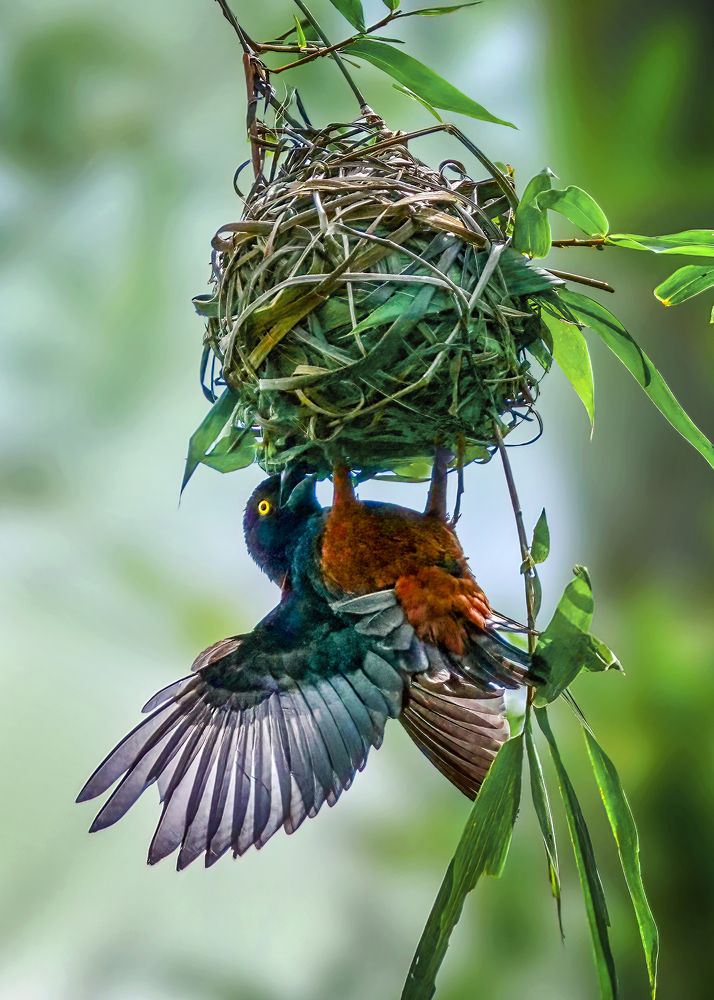Photograph by Dzulfikri Dzulfikri