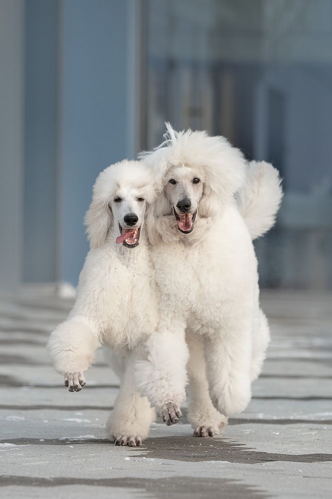 Photograph by Ольга Легенькая