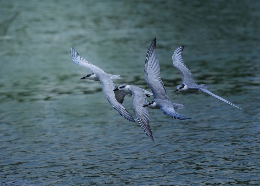 Photograph by Dzulfikri Dzulfikri