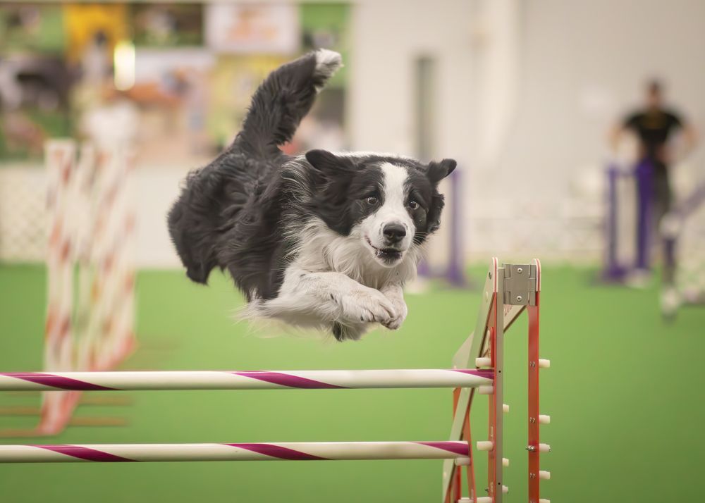 Photograph by Noelle Deskins