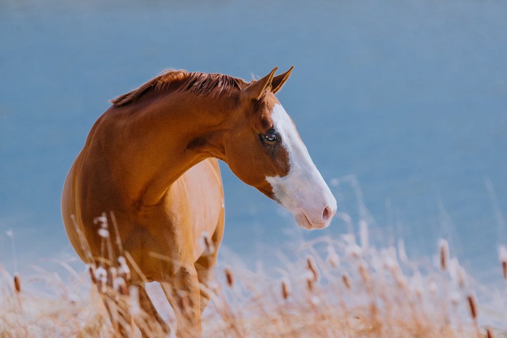 Photograph by Кристина Ксендзова