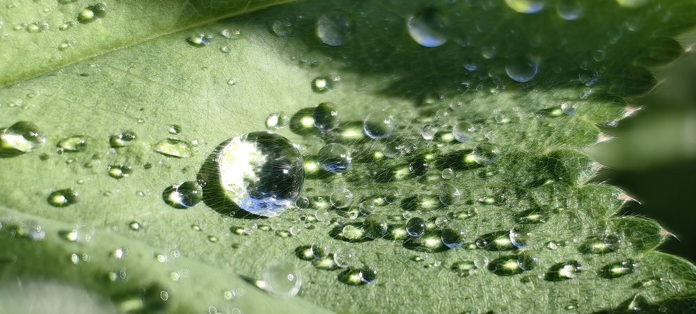 Photograph by Алексей