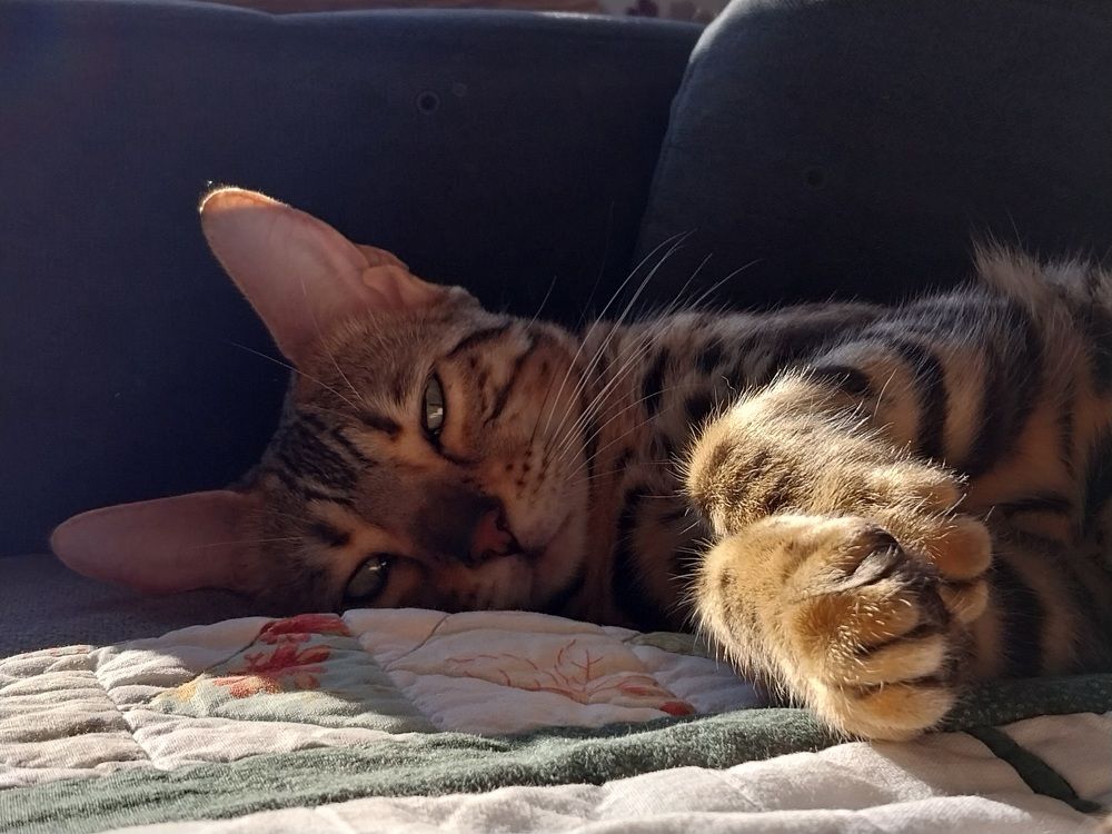 Photograph by Юлия Фирман