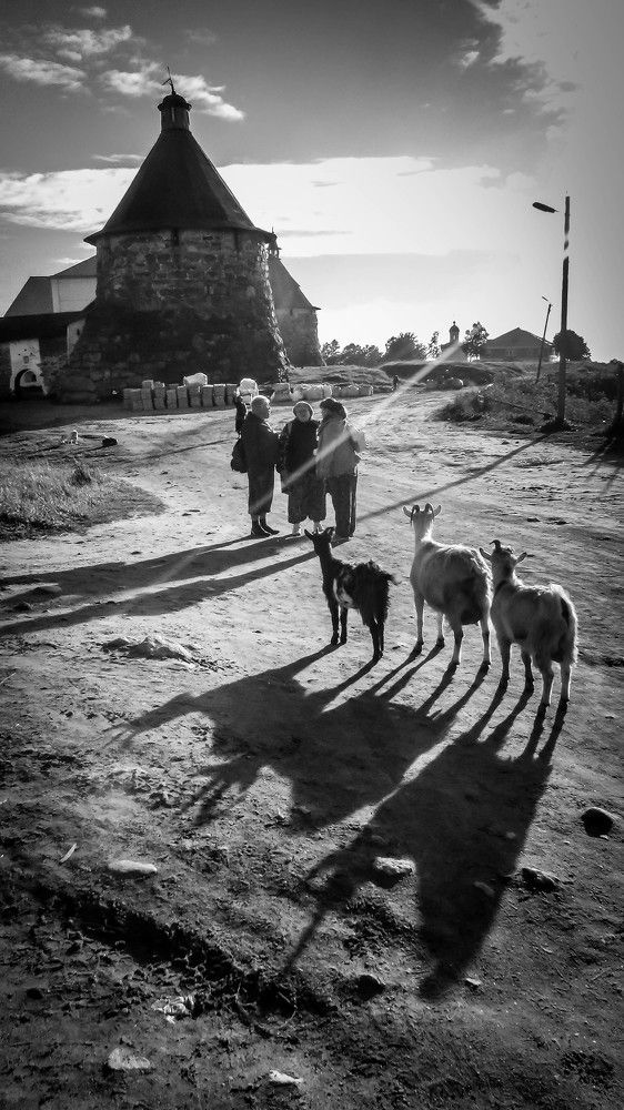 Photograph by Александр Антонов