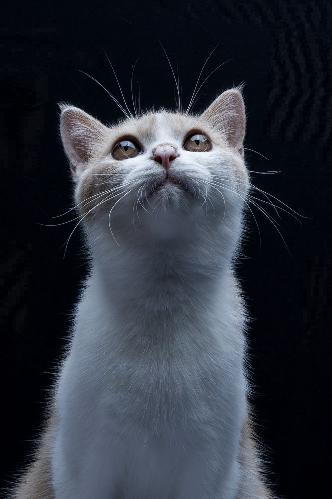 Photograph by Dzulfikri Dzulfikri