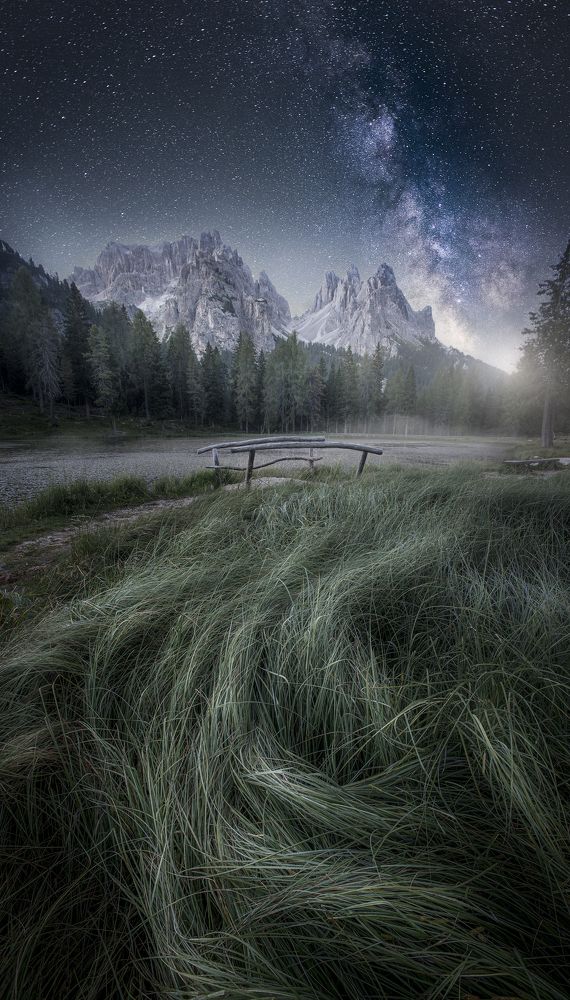 Фотография автора Daniel Trippolt