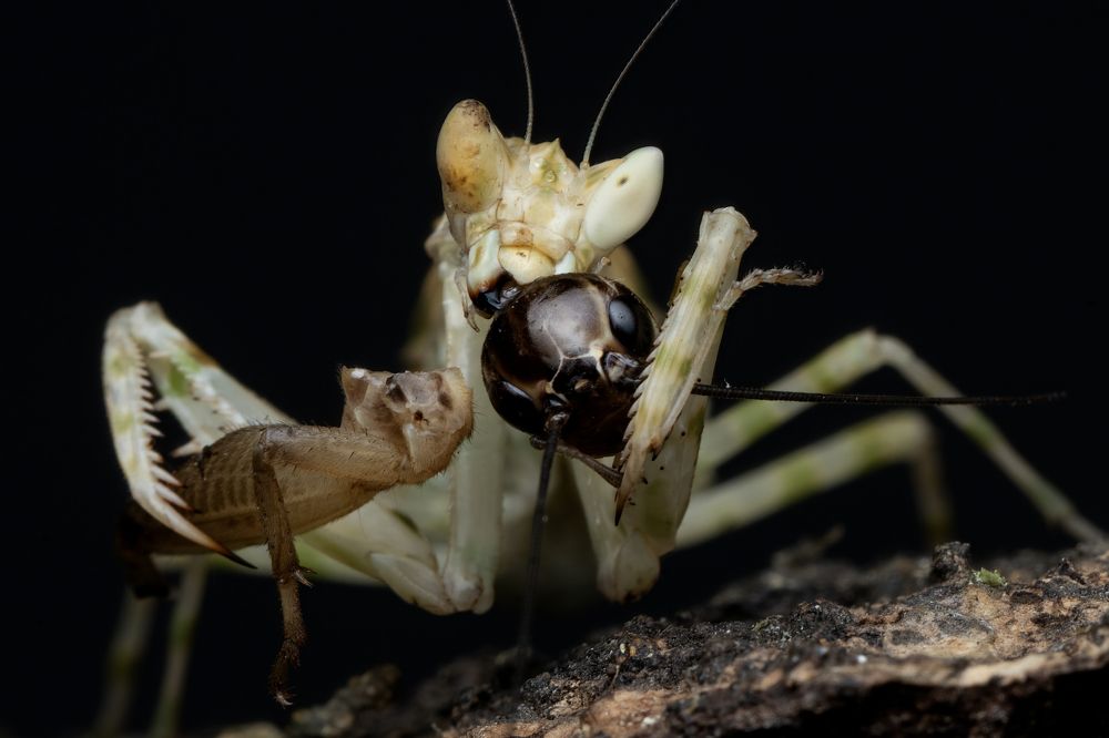 Photograph by Dzulfikri Dzulfikri