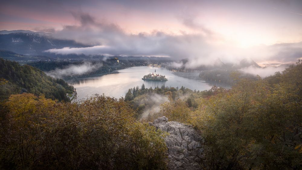 Фотография автора Daniel Trippolt