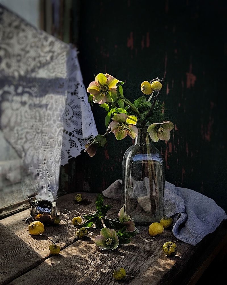 Фотография автора Инга Шевелёва