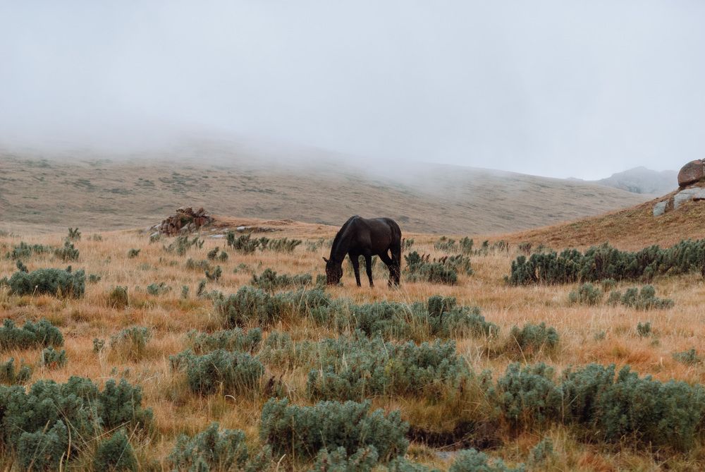 Photograph by Татьяна Карпенко