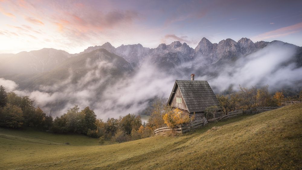 Фотография автора Daniel Trippolt