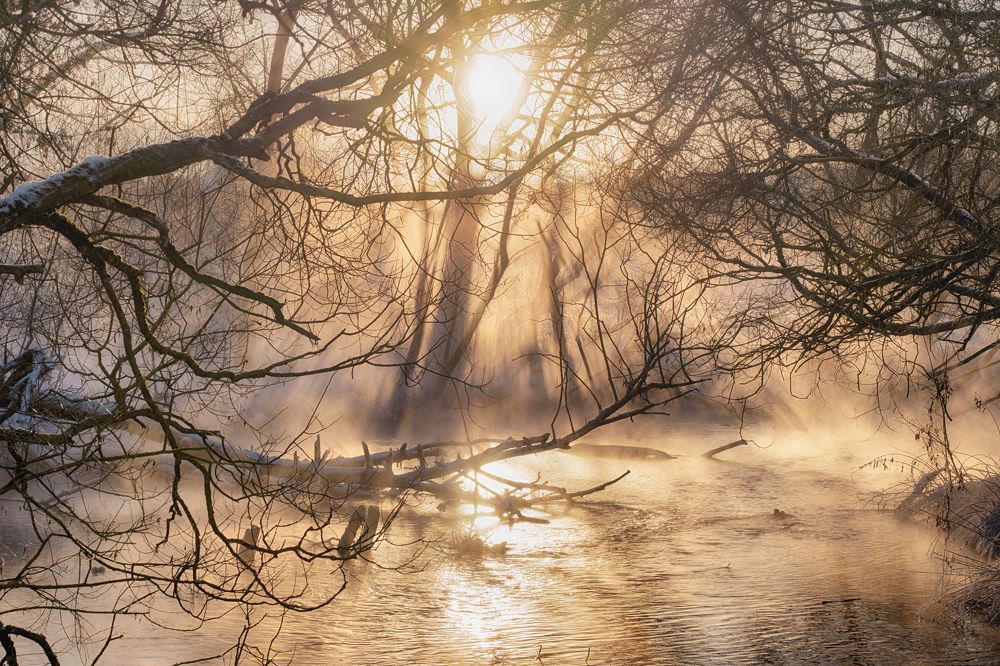 Photograph by Александр Шершнев