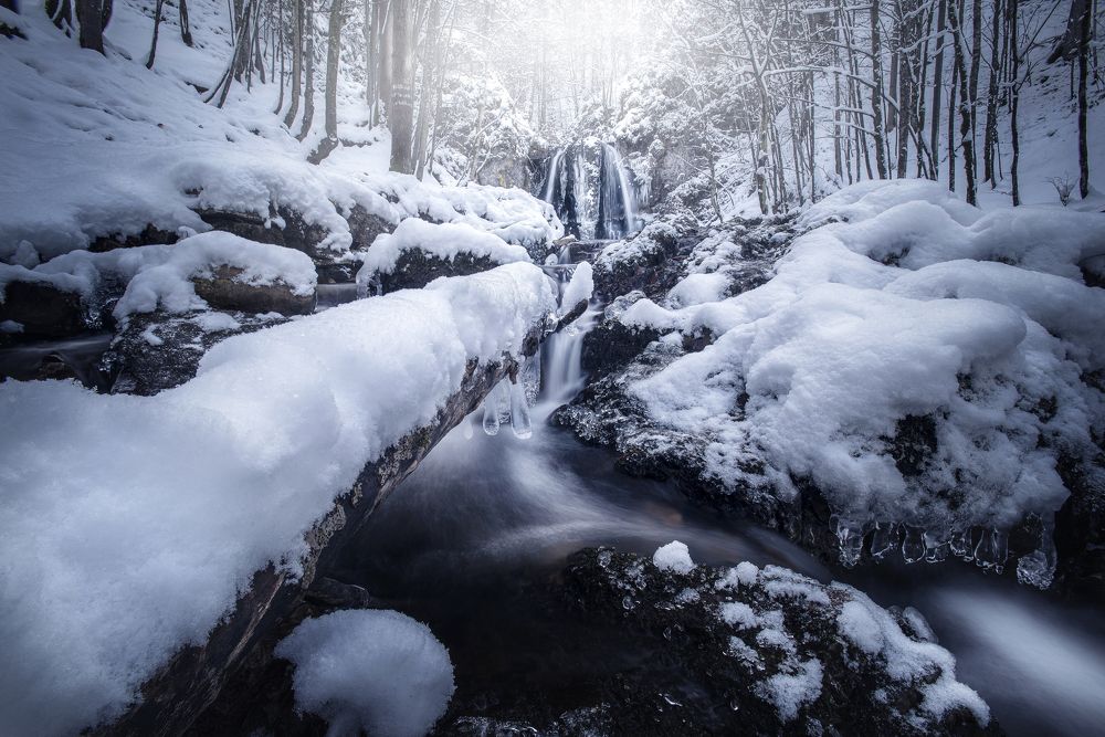 Фотография автора Daniel Trippolt