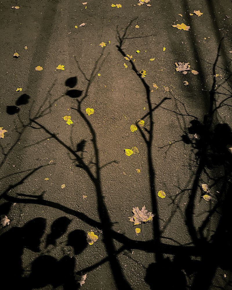 Photograph by Дмитрий Дятлов
