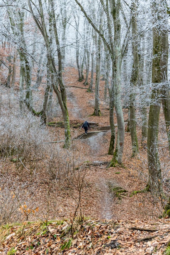 Фотография автора Дмитрий Referee