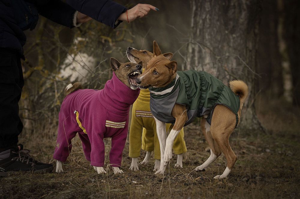 Фотография автора Юрий Бутаков