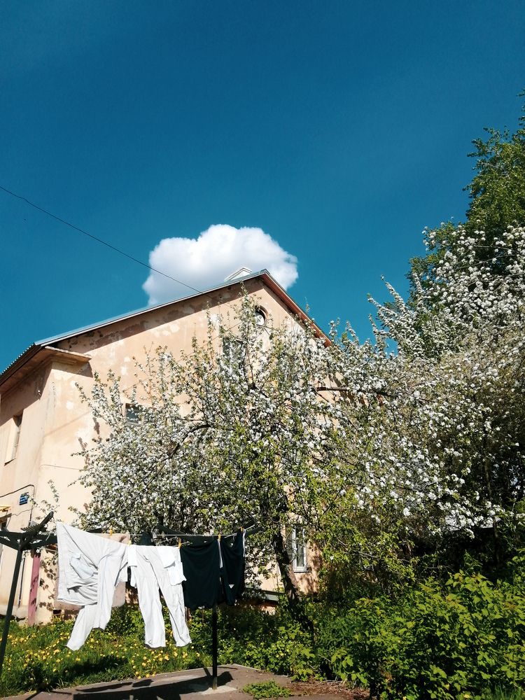 Photograph by Владислав Афанасьев