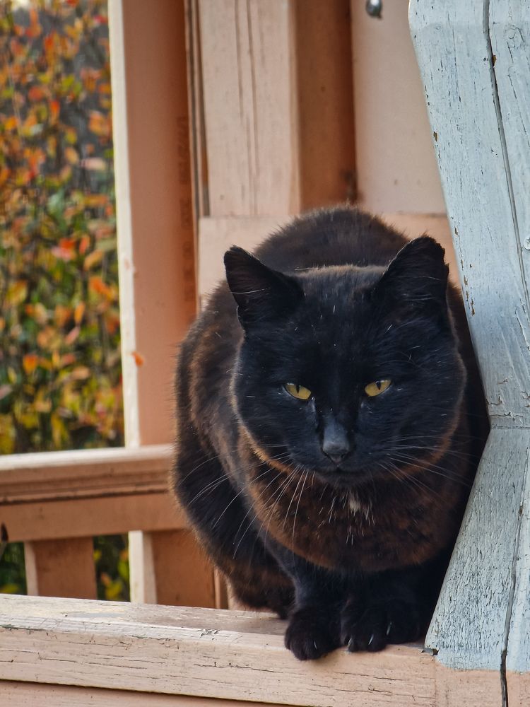 Photograph by Кристина Тарутина