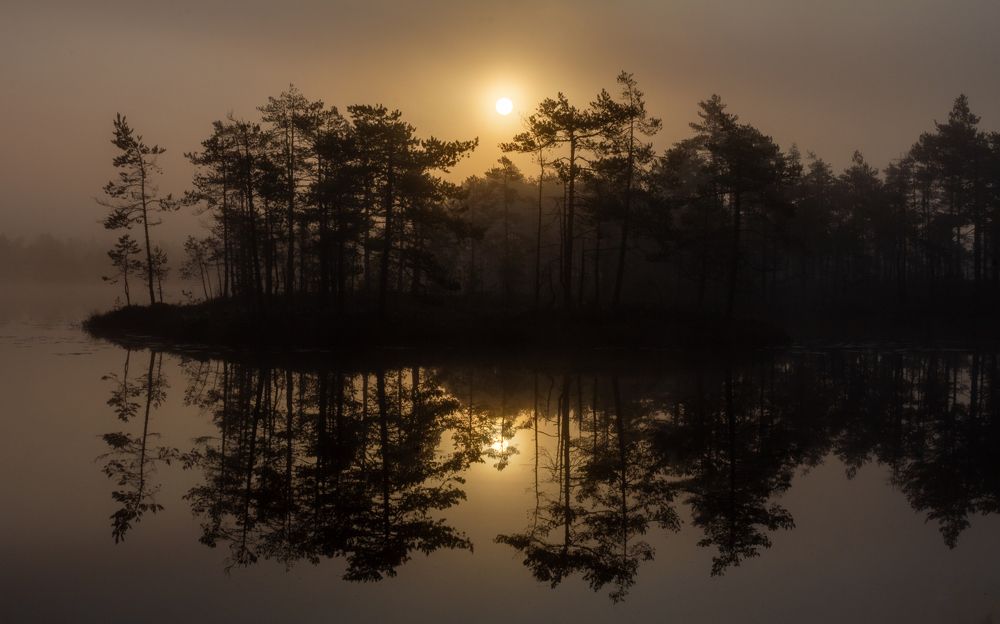 Photograph by Vera Komarova