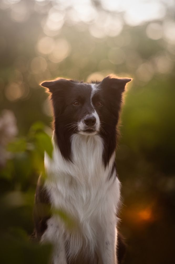 Photograph by Алена Райфутдинова