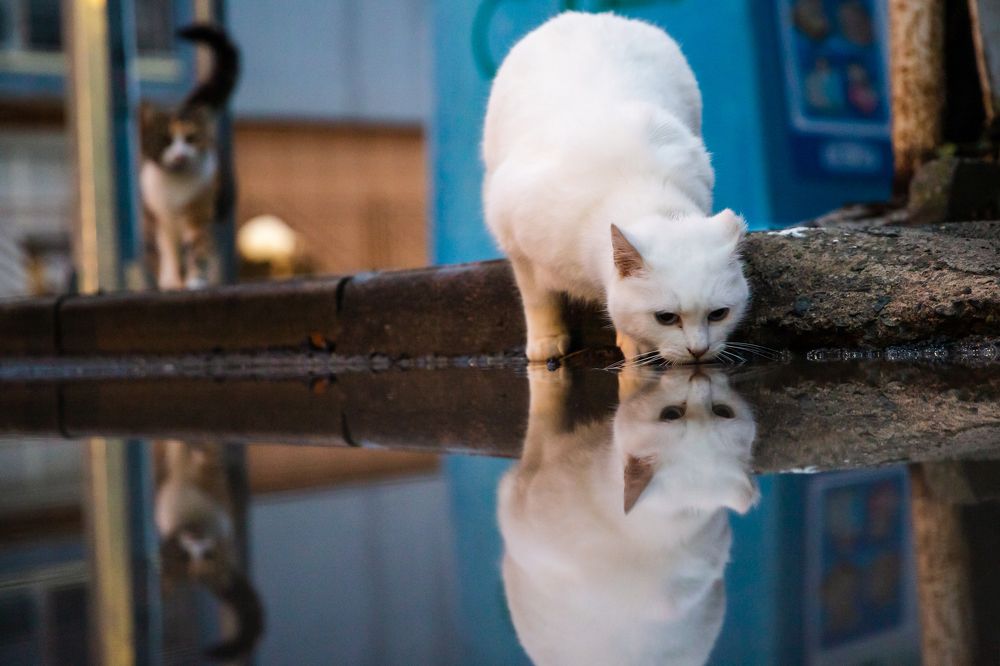 Photograph by Ivan Udondzhiev