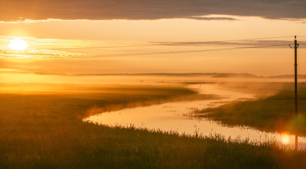 Photograph by Vera Komarova