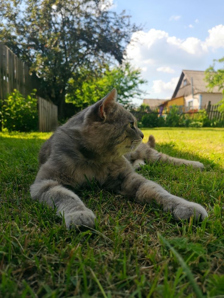 Photograph by Екатерина Борисовна Кузьмина