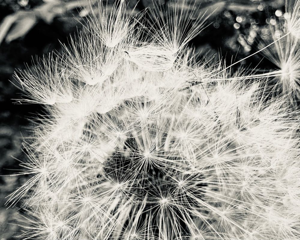 Photograph by Kristina Zolotova