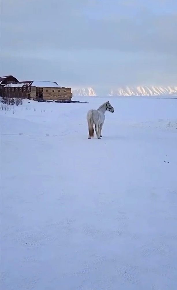 Байкал/Lake Baikal
