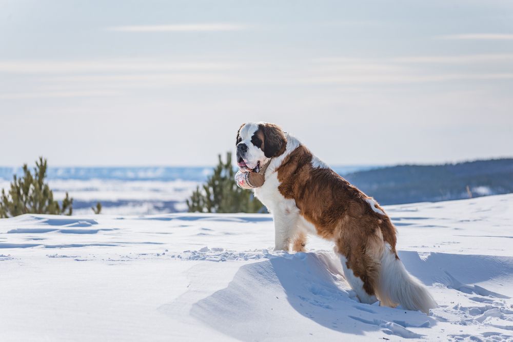Photograph by Мария Егорова