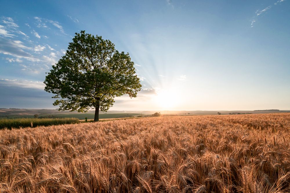 Фотография автора Maichel de Paula