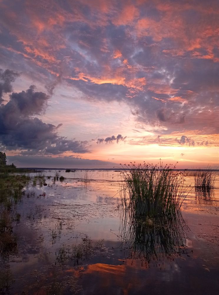 Фотография автора Кухта Мария