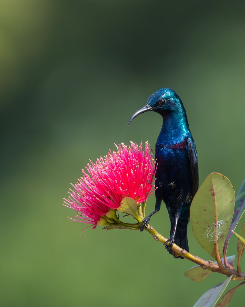 Photograph by SARADINDU ADHIKARY